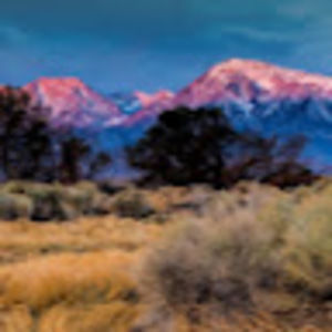 Meet your Posher, Taro